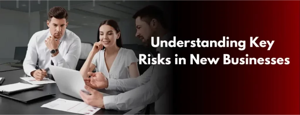 Understanding Key Risks in New Businesses